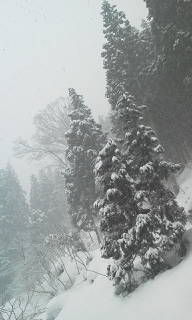 5264c1e5.jpg