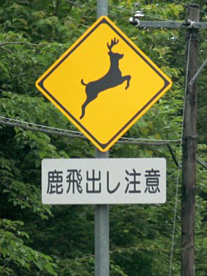 鹿