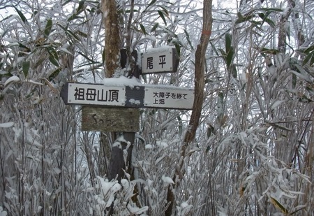 sobo04