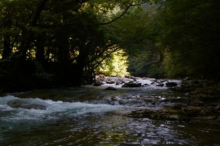 mitate05