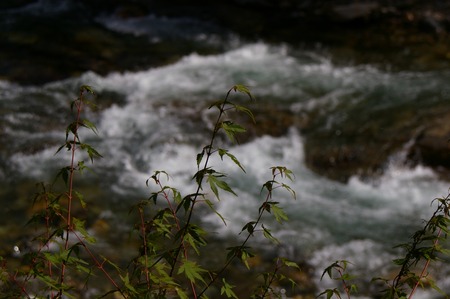 mitate08