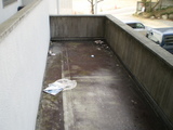 P2040022
