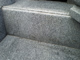 P8260003_01