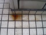 P3060001
