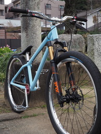 PC300025