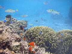 a8e643aa.jpg