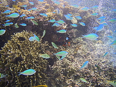 b42e7d76.jpg