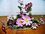 c6f172cd.jpg
