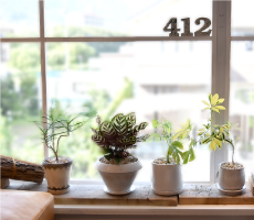 A2F5EFC0-7BCC-4F34-BF38-BE8FB5E780E6