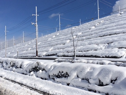 こころ団地の積雪・・。