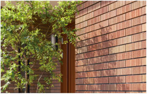 51d6992fdd685f654196caede5aba3c6-300x192