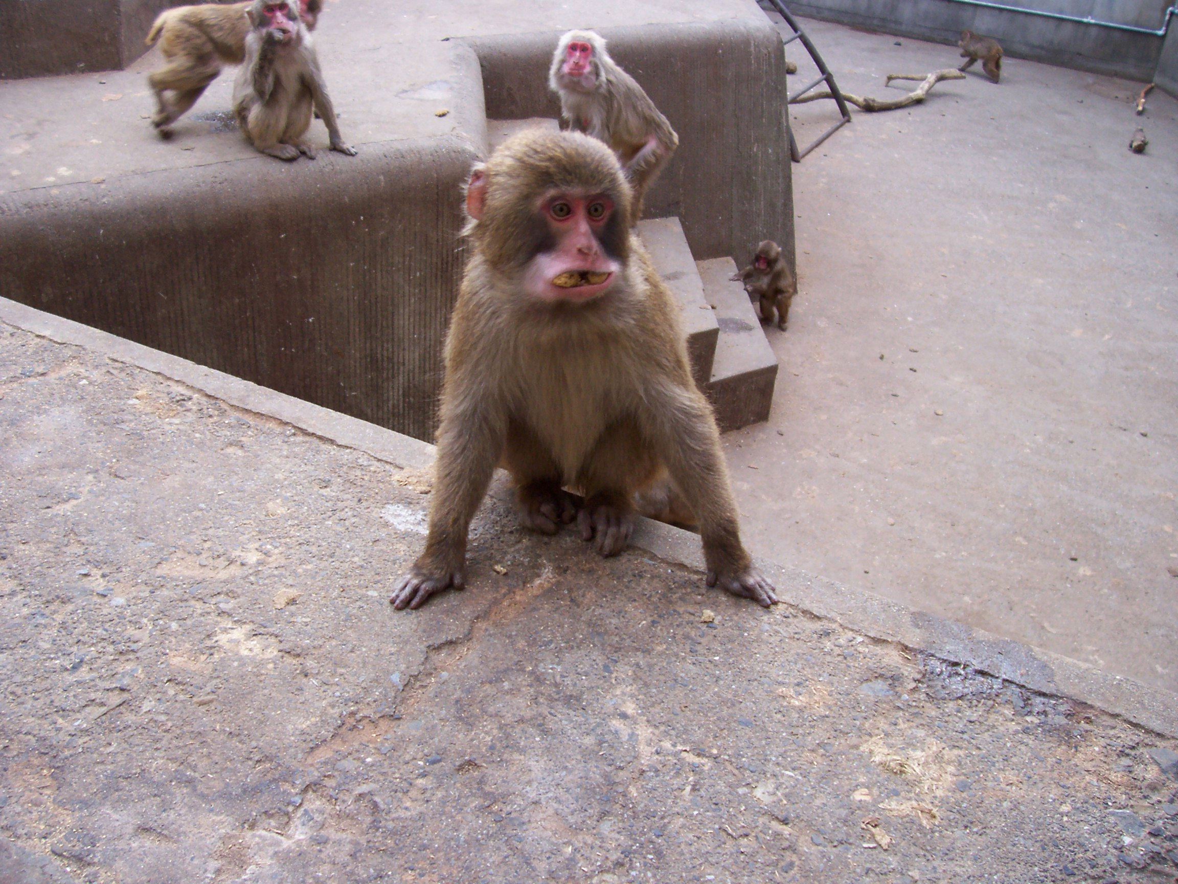 zoo