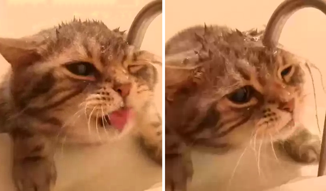 no title