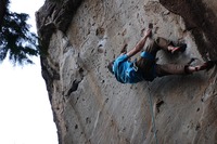 ORG_DSC01454