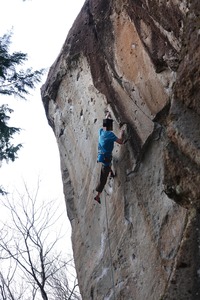 ORG_DSC01451