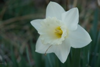 DSC01193
