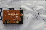Sony Walkman WM-EX88 : にっきちょう