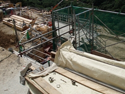 105ba24e.jpg