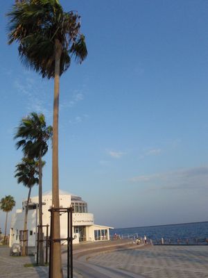 15c78966.jpg