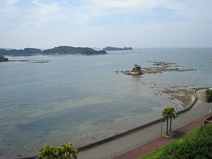 1fa903a7.jpg