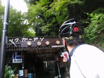 255d9561.jpg
