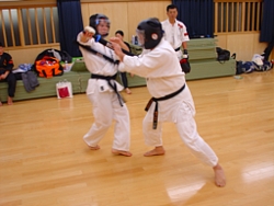279fc953.jpg