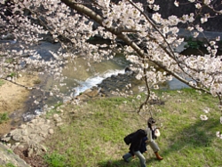 32a375e5.jpg