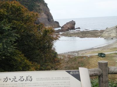 4462821d.jpg