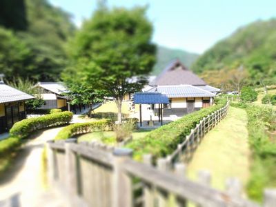 P9273380-tiltshiftb