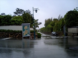 4e035f85.jpg