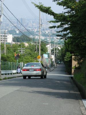 7342ea24.jpg