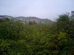 c28d7c5e.jpg
