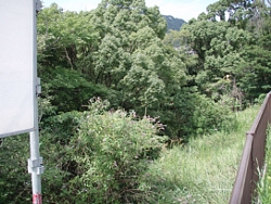 c94a71fe.jpg