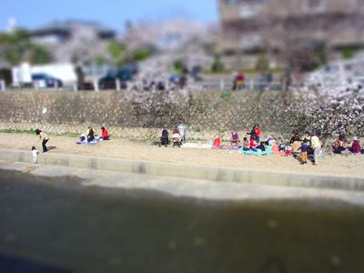 DSC00503-tiltshiftb