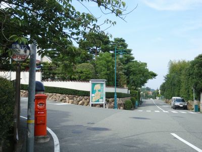 d7f49ad6.jpg
