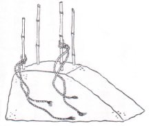 df6503d9.jpg