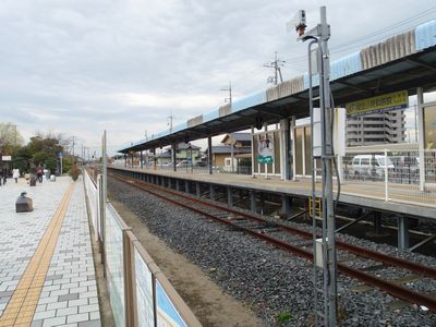 P3154027b