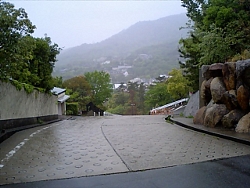 e6de88f1.jpg