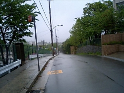 efd0905b.jpg