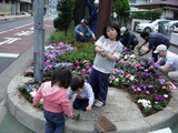 hana5