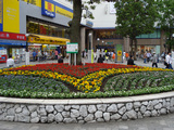 sg6