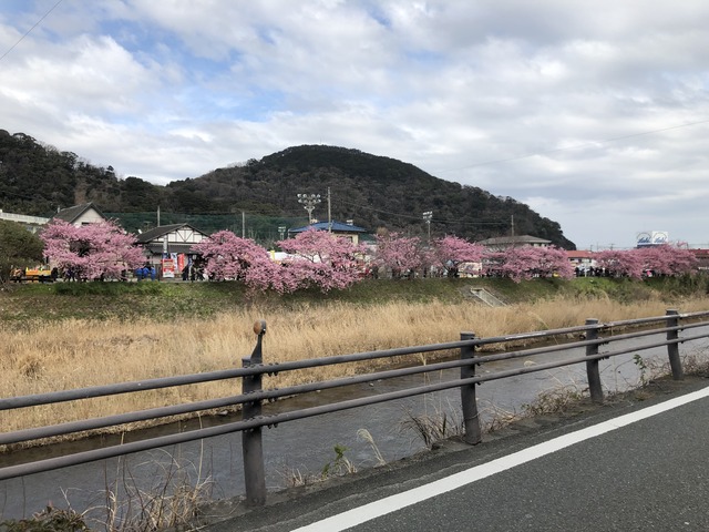 BuRST HIGH
