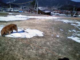 090207harayama