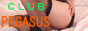 88*31