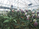 IMG_20170626_151731