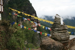 たいがーずはた