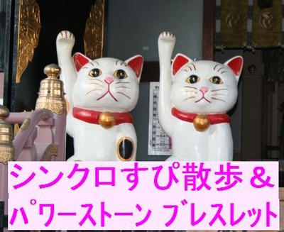 シンクロスピ散歩