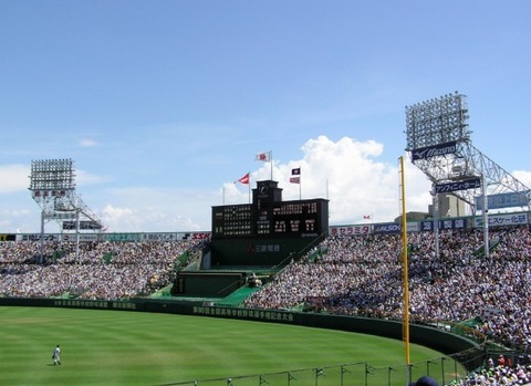 今年現地でプロ野球を観戦した回数www