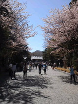 b0c74f47.jpg