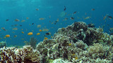 DSC01101
